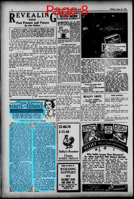 Page thumbnail for The Gary American