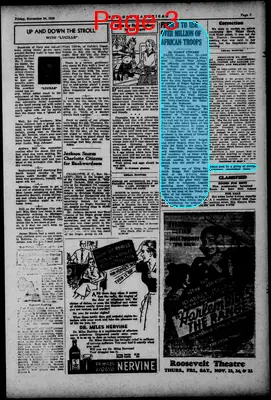 Page thumbnail for The Gary American