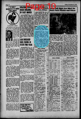 Page thumbnail for The Gary American