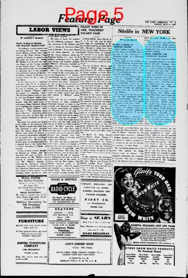 Page thumbnail for The Gary American