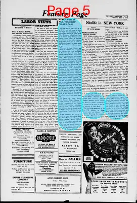 Page thumbnail for The Gary American