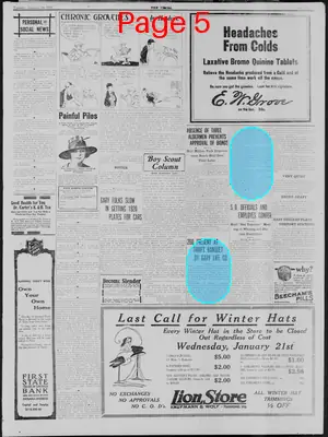 Page thumbnail for The Lake County Times
