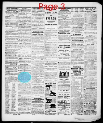 Page thumbnail for The Richmond Palladium