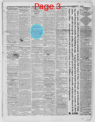 Page thumbnail for The Daily Evansville Journal