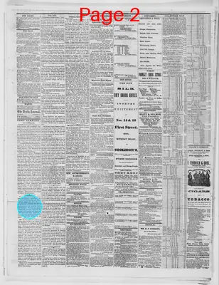 Page thumbnail for Evansville Daily Journal
