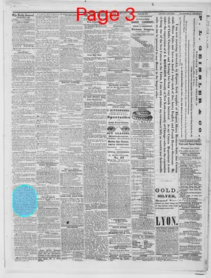 Page thumbnail for Evansville Daily Journal
