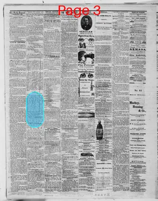 Page thumbnail for Evansville Daily Journal