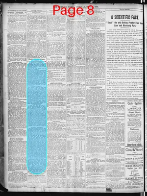 Page thumbnail for The Morning News