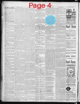 Page thumbnail for The Morning News