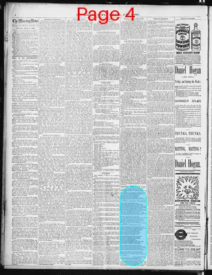 Page thumbnail for The Morning News
