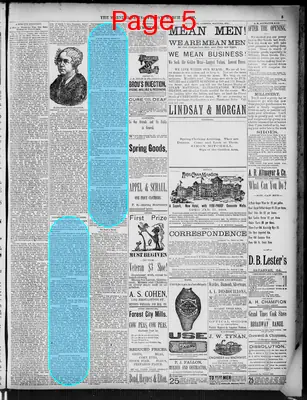 Page thumbnail for The Morning News