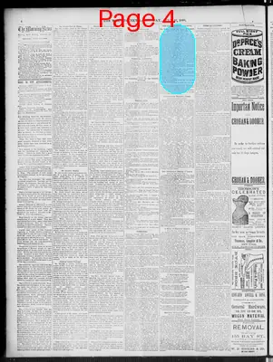 Page thumbnail for The Morning News