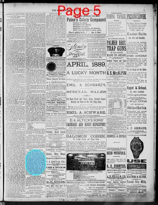 Page thumbnail for The Morning News