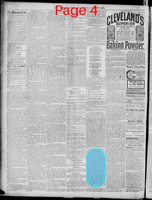 Page thumbnail for The Morning News