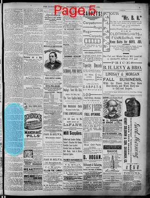 Page thumbnail for The Morning News