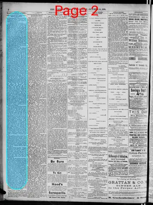 Page thumbnail for The Morning News