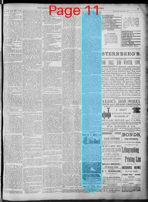 Page thumbnail for The Morning News