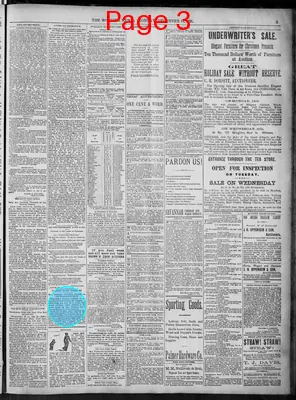Page thumbnail for The Morning News