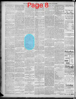 Page thumbnail for The Morning News