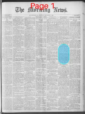 Page thumbnail for The Morning News