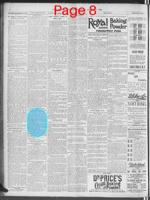 Page thumbnail for The Morning News