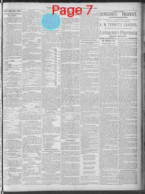 Page thumbnail for The Morning News