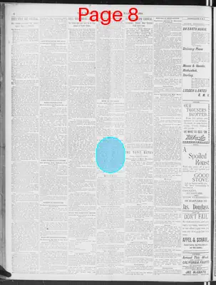 Page thumbnail for The Morning News