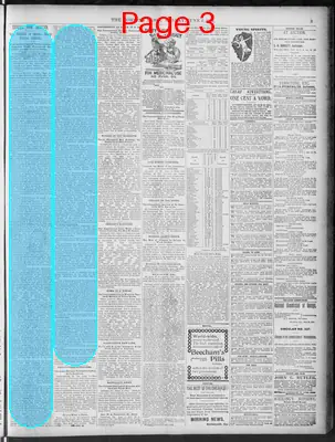 Page thumbnail for The Morning News