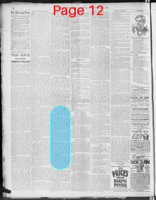 Page thumbnail for The Morning News