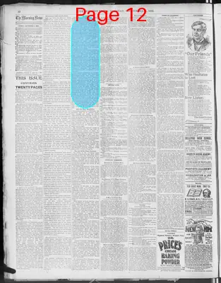 Page thumbnail for The Morning News