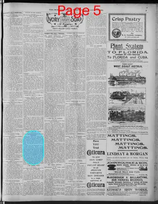 Page thumbnail for The Morning News
