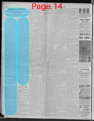Page thumbnail for The Morning News