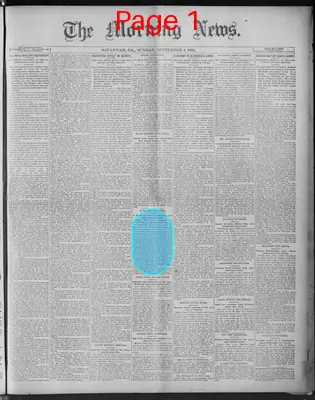 Page thumbnail for The Morning News