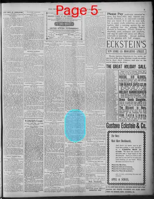 Page thumbnail for The Morning News