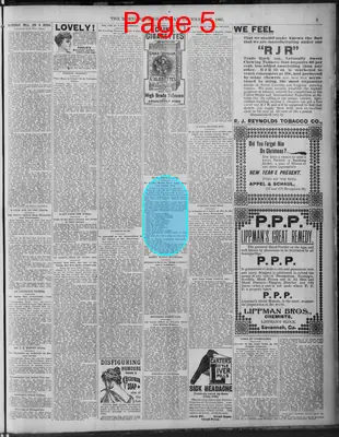 Page thumbnail for The Morning News