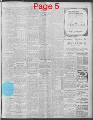 Page thumbnail for The Morning News