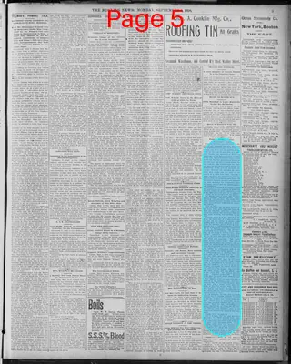 Page thumbnail for The Morning News