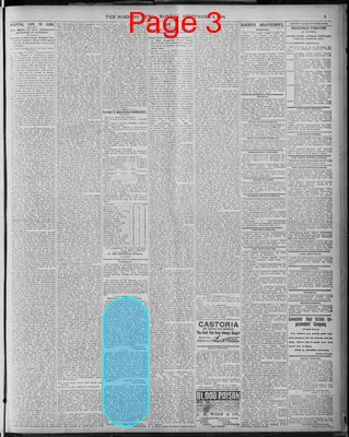 Page thumbnail for The Morning News