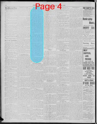 Page thumbnail for The Morning News