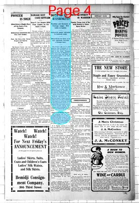 Page thumbnail for The Bemidji Daily Pioneer