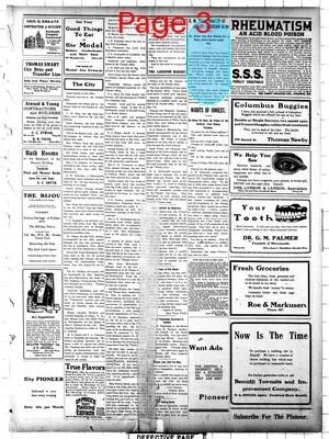 Page thumbnail for The Bemidji Daily Pioneer