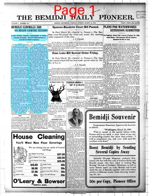 Page thumbnail for The Bemidji Daily Pioneer