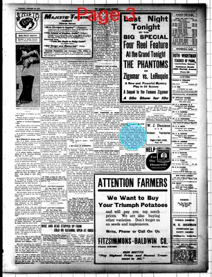 Page thumbnail for The Bemidji Daily Pioneer