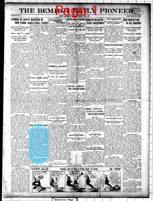 Page thumbnail for The Bemidji Daily Pioneer