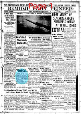 Page thumbnail for The Bemidji Daily Pioneer