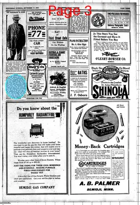 Page thumbnail for The Bemidji Daily Pioneer