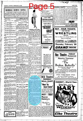 Page thumbnail for The Bemidji Daily Pioneer