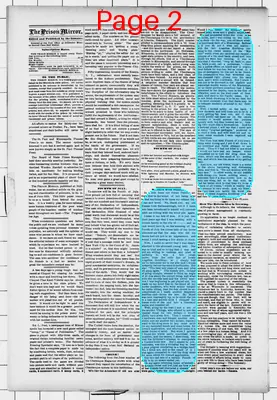 Page thumbnail for The Prison Mirror