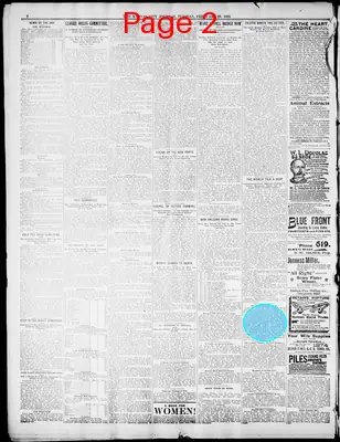 Page thumbnail for Kansas City Daily Journal