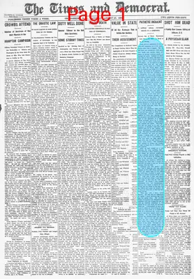 Page thumbnail for The Times And Democrat
